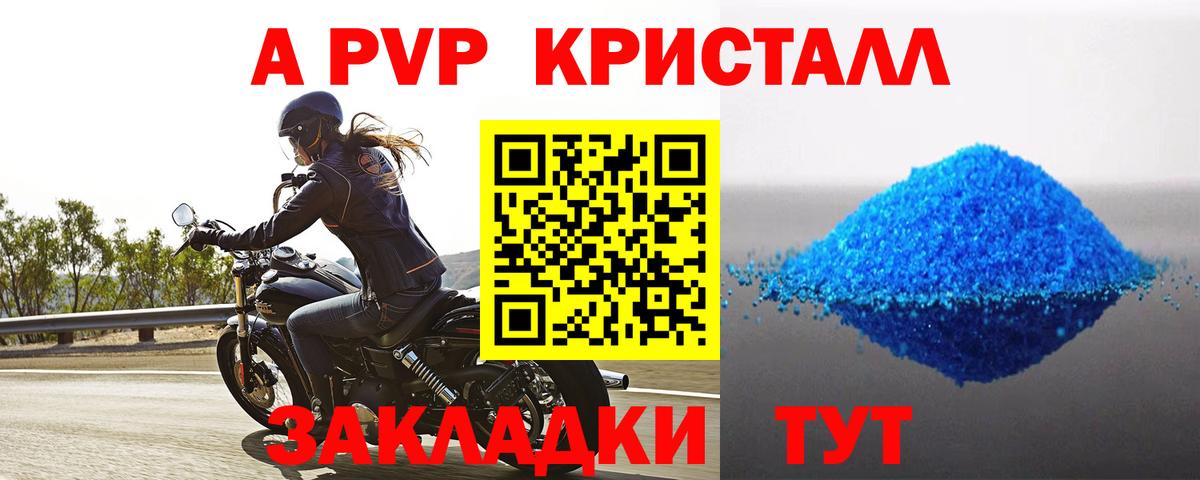 Alfa_PVP СК КРИС Сосновый Бор