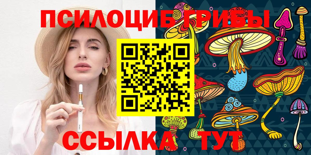 Галлюциногенные грибы Psilocybine cubensis Сосновый Бор