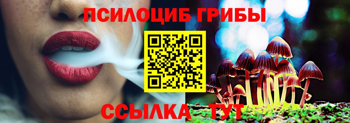 Сосновый Бор  Галлюциногенные грибы Magic Shrooms  Псилоцибиновые грибы GOLDEN TEACHER  где купить наркоту  Вход с VPN 